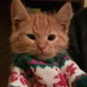 Meet your Posher, Sydney l